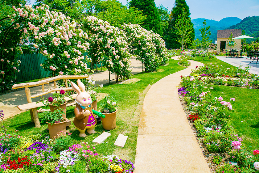「レオマ花ワールド」アジアの遺跡と春の花々の競演を堪能しよう