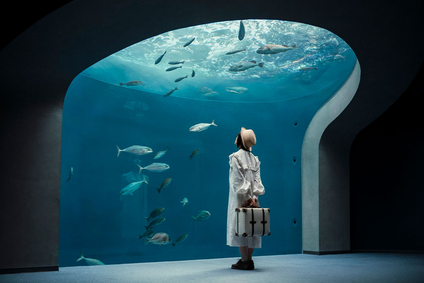 四国ならではの魅力を体感！「四国水族館」の見どころをご紹介