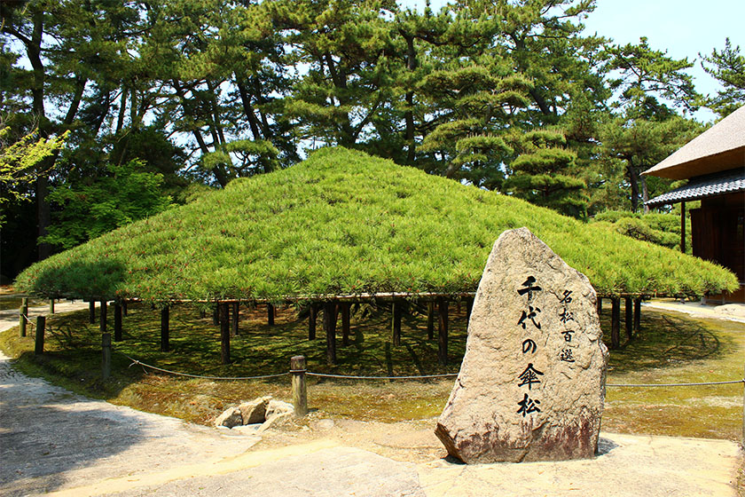 「中津万象園・丸亀美術館」で丸亀藩の歴史とアートに触れる