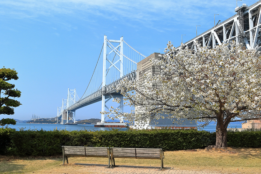 瀬戸大橋記念公園